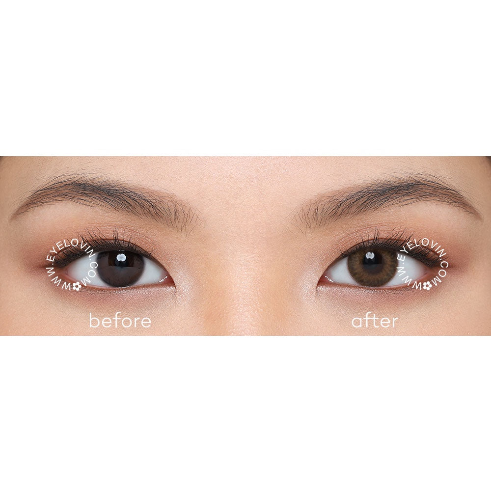 EYELOVIN Softlens OHAN - Guri Brown - Softlens Brown Premium MPC untuk Mata Sensitif Semi Natural - Cocok untuk Wedding dan Bold Look - Bisa Normal dan Minus up to -10.00 (1 pc/sebelah)