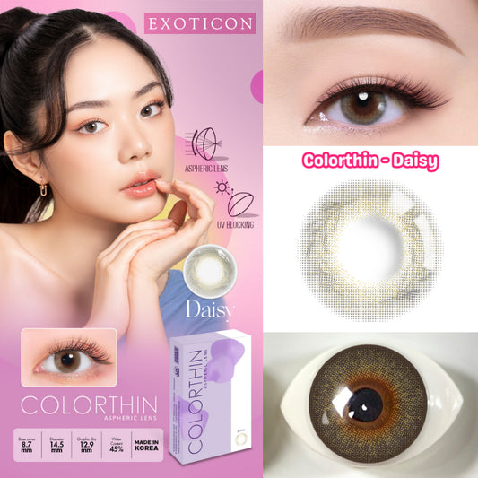 Exoticon Softlens - Colorthin - Daisy | Tulip | Dahlia | Marigold | Cherry Blossom | Soflens Korea