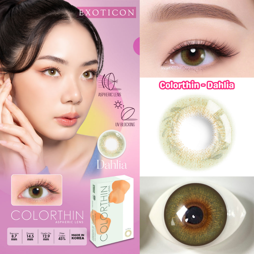 Exoticon Softlens - Colorthin - Daisy | Tulip | Dahlia | Marigold | Cherry Blossom | Soflens Korea