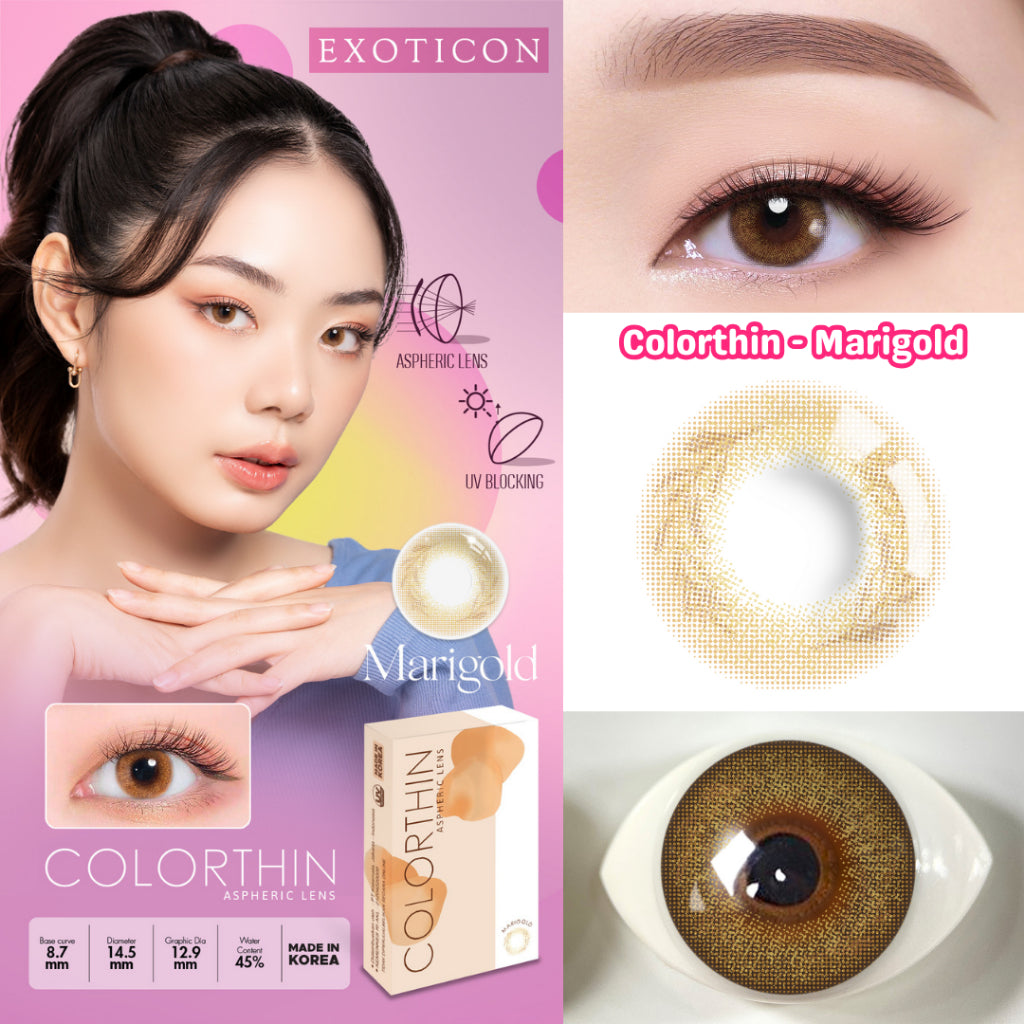 Exoticon Softlens - Colorthin - Daisy | Tulip | Dahlia | Marigold | Cherry Blossom | Soflens Korea