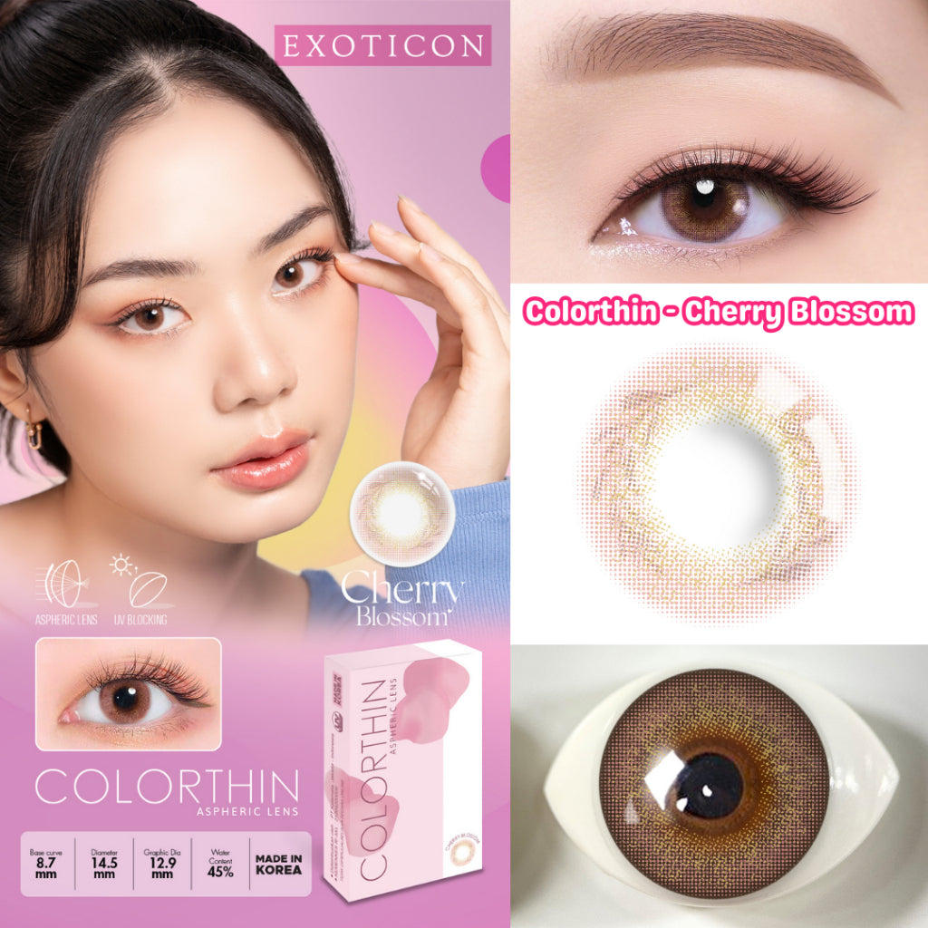 Exoticon Softlens - Colorthin - Daisy | Tulip | Dahlia | Marigold | Cherry Blossom | Soflens Korea